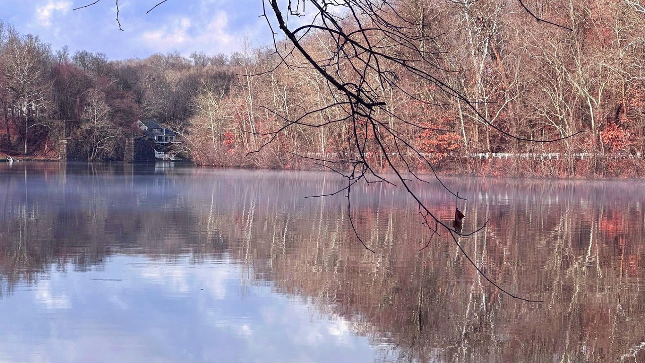 Photo of Others in South Britain