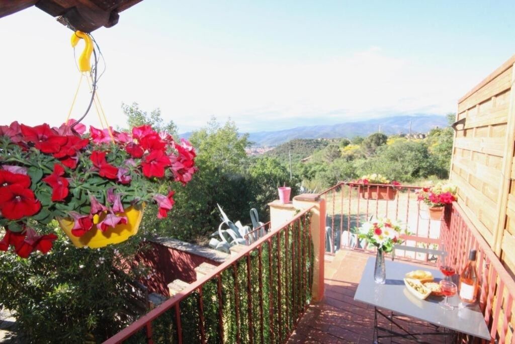 Photo of Outdoor in Ille-sur-Tet