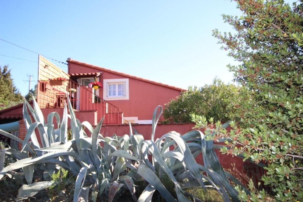 Photo of Outdoor in Ille-sur-Tet