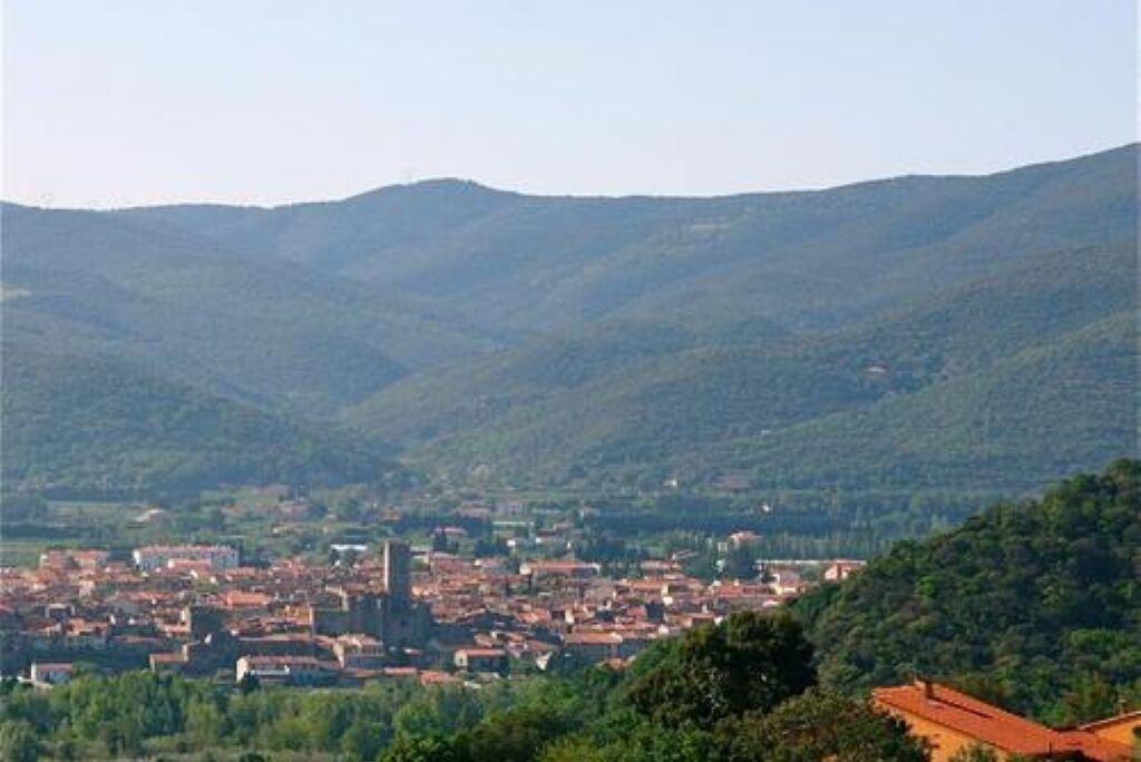 Photo of Others in Ille-sur-Tet