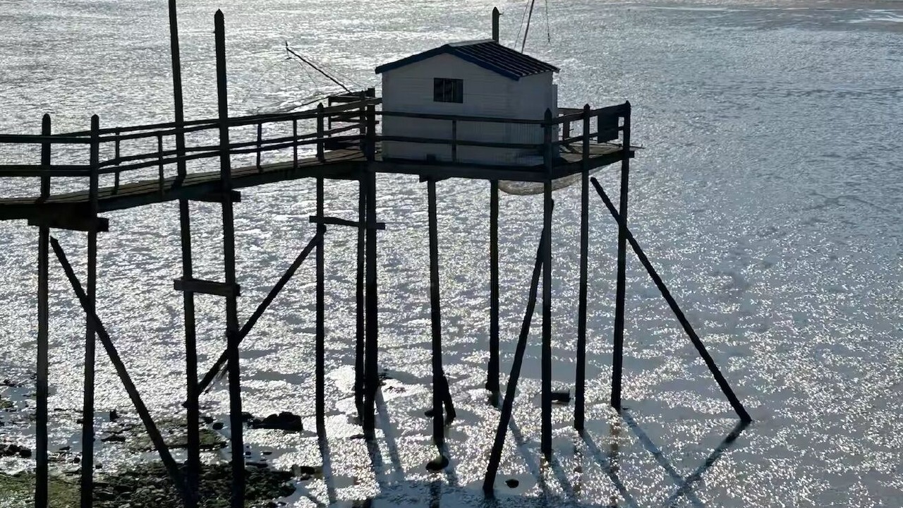 Photo of Others in Charron