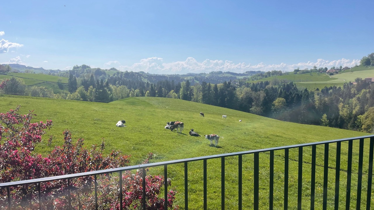 Photo of Outdoor in Rueggisberg