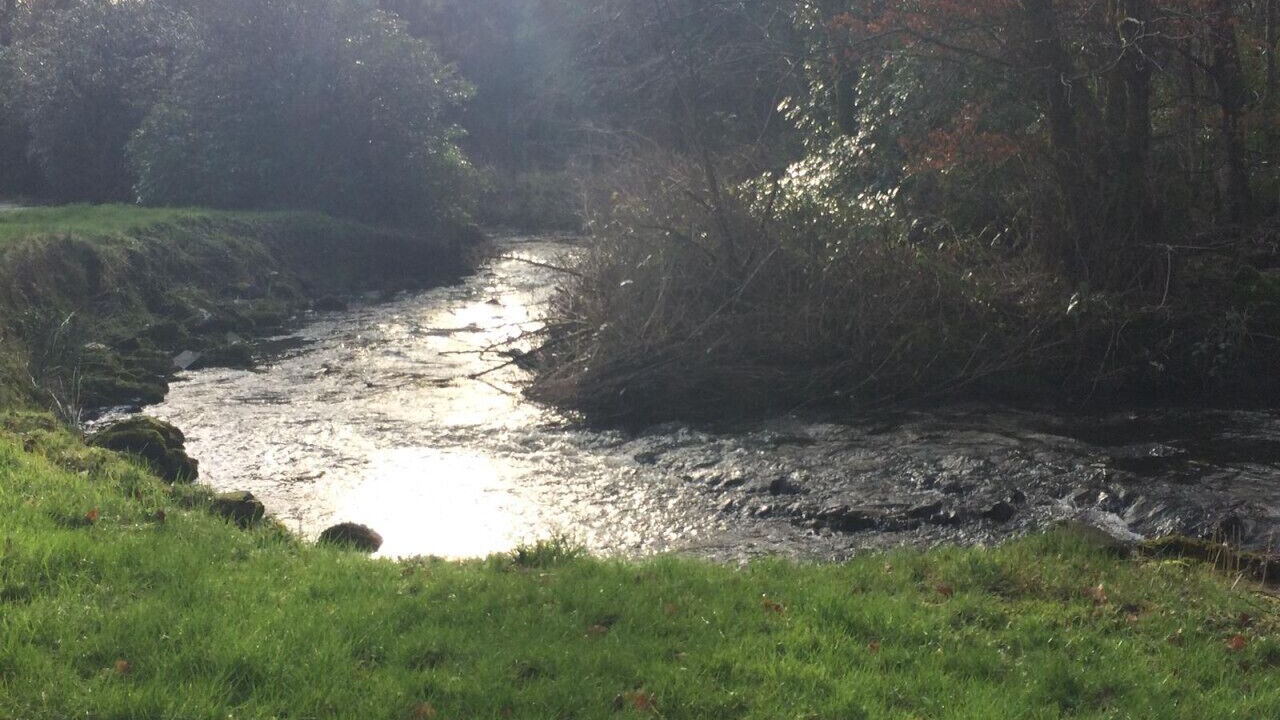 Photo of Others in Dalry