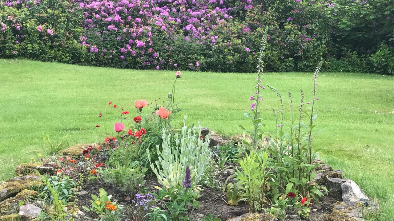 Photo of Outdoor in Dalry