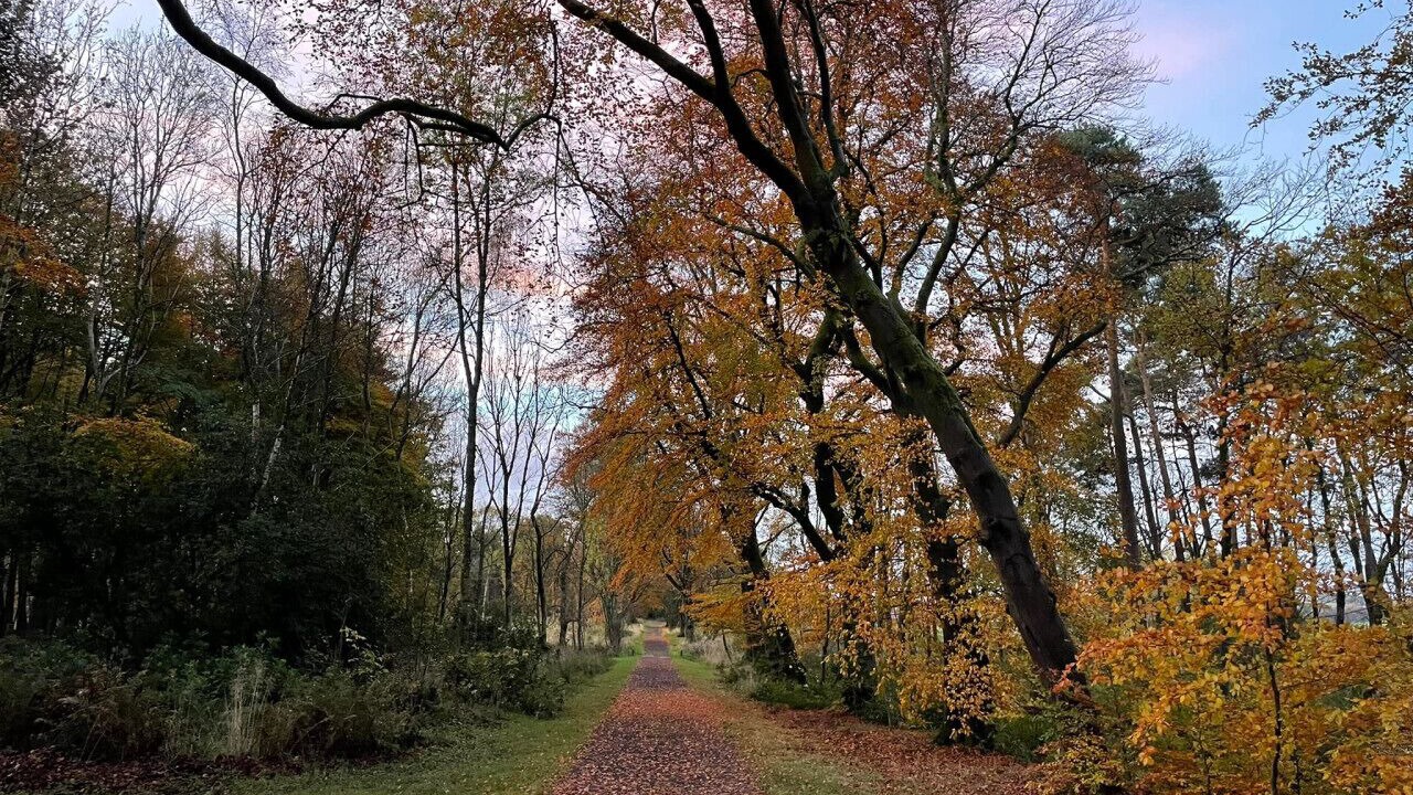 Photo of Others in Dalry