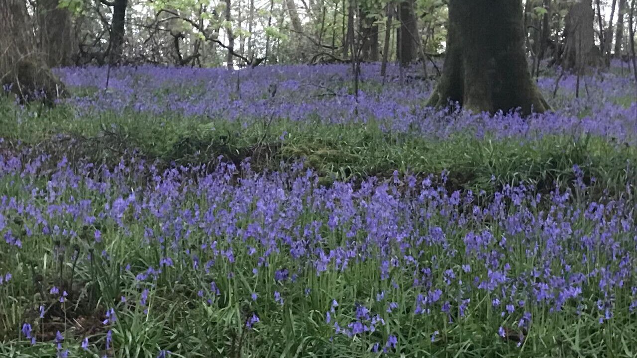 Photo of Others in Dalry