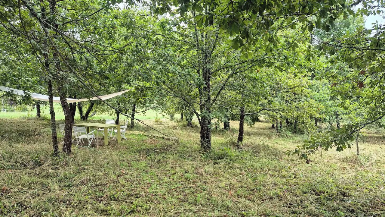 Photo of Outdoor in Chanterac