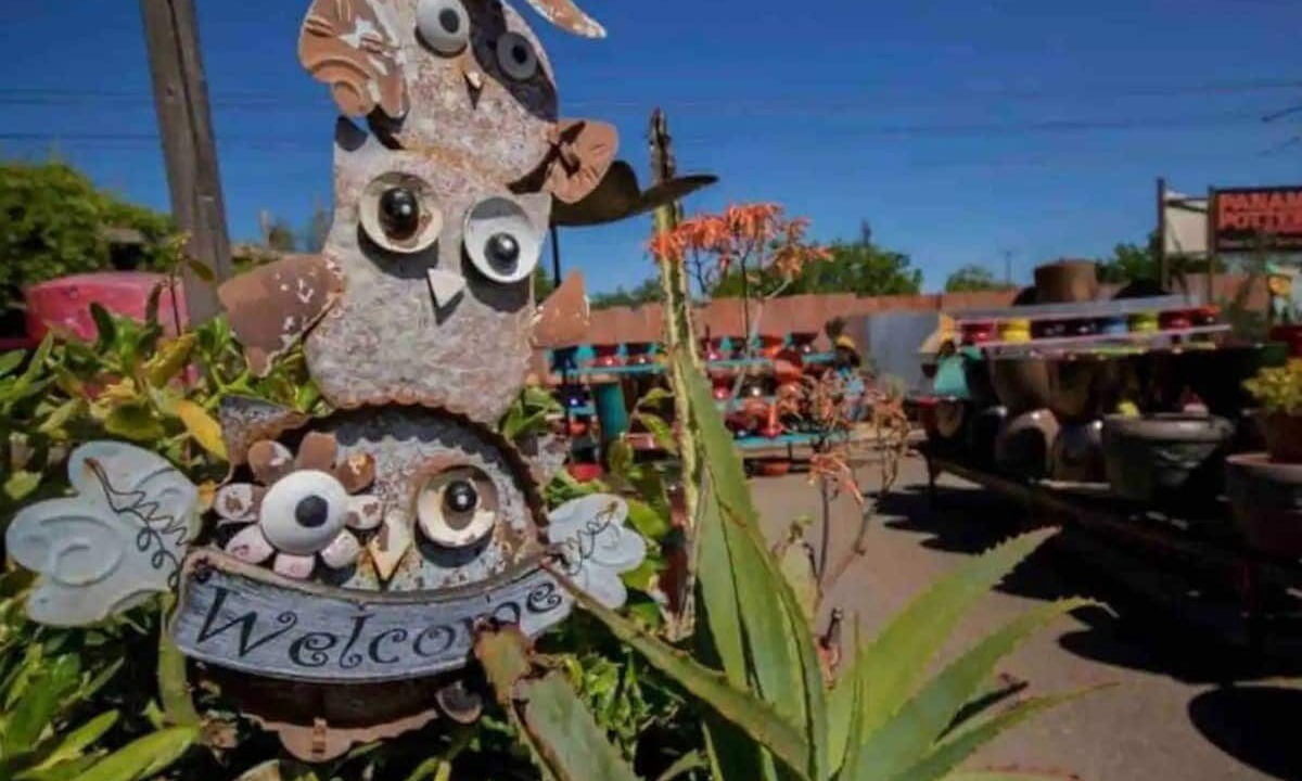 Photo of Others in Arden-Arcade