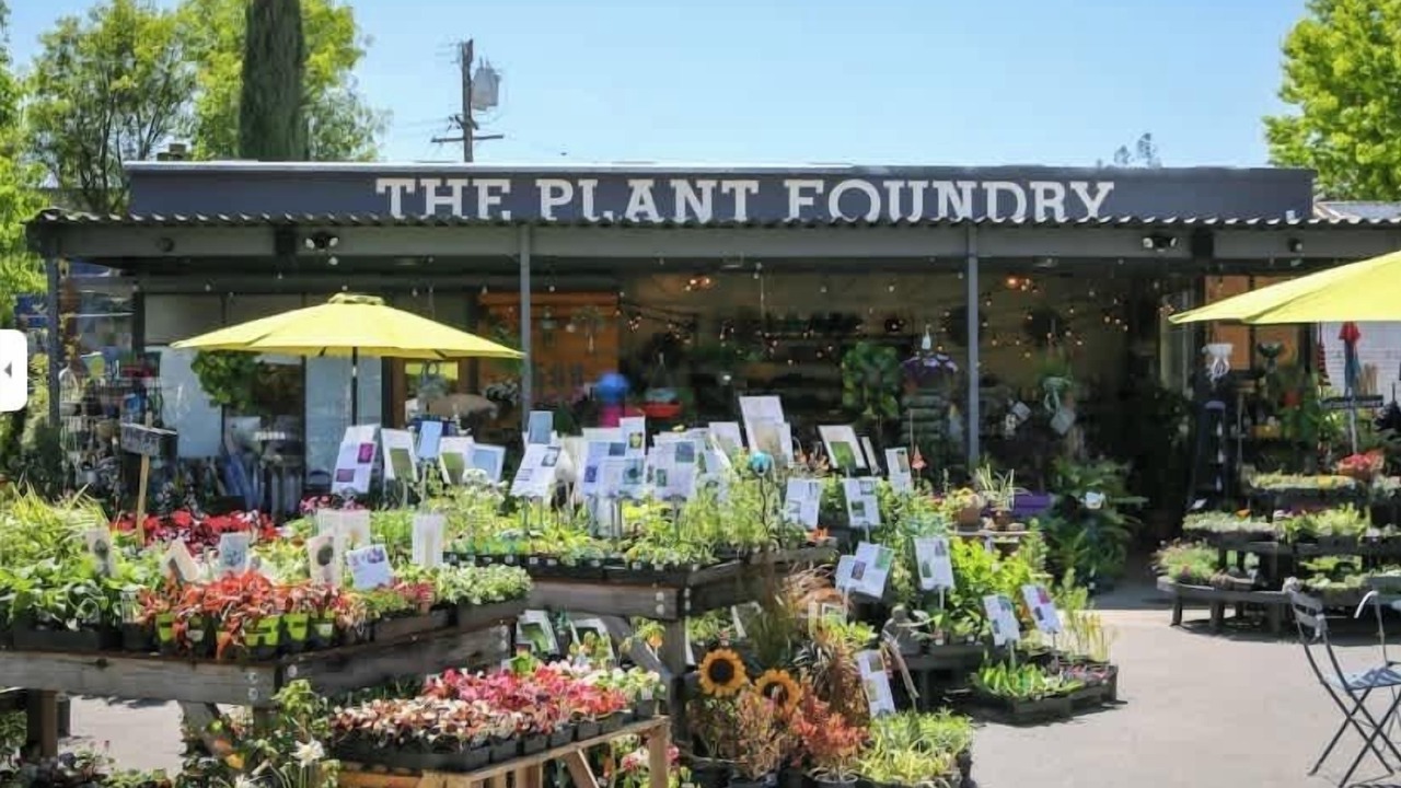 Photo of Others in Arden-Arcade