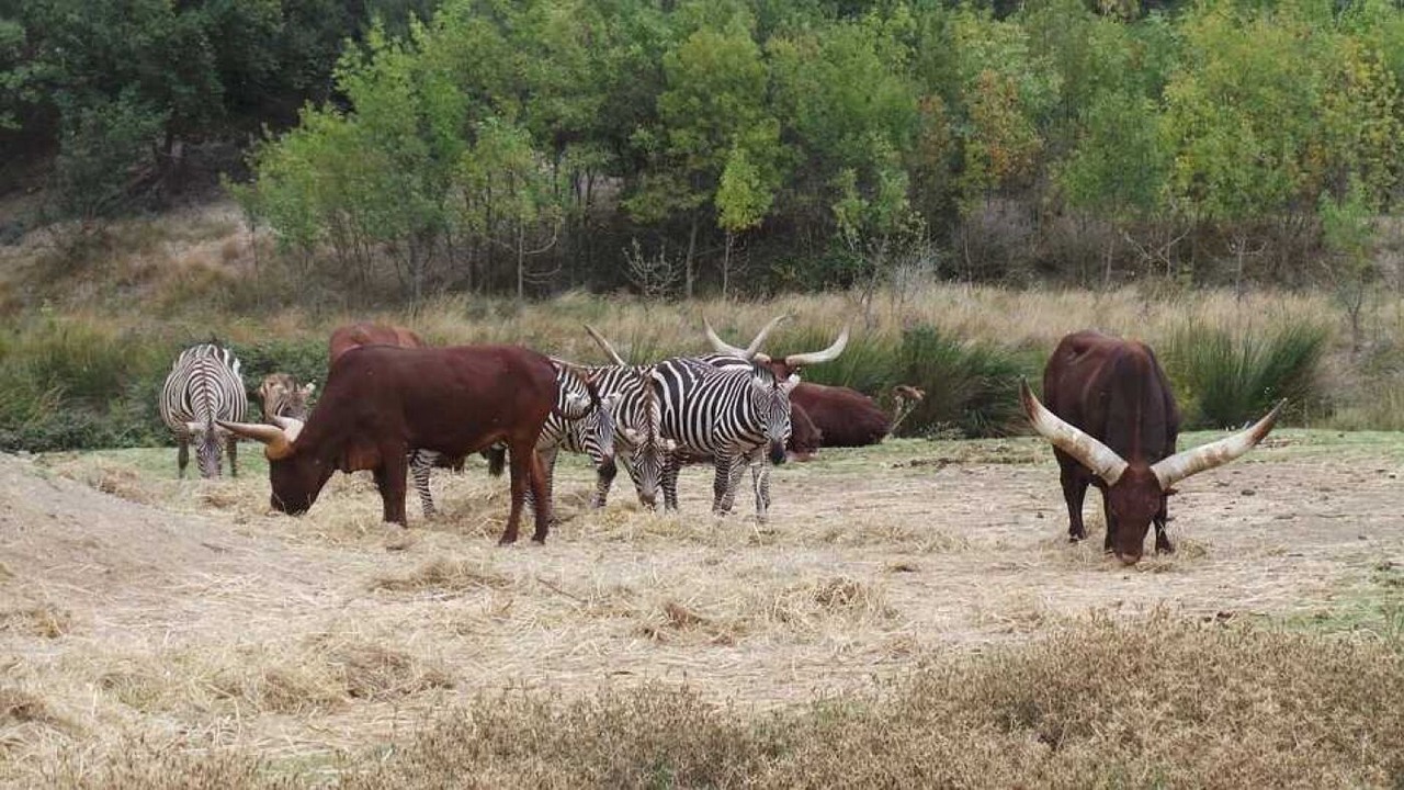 Photo of Others in Sigean