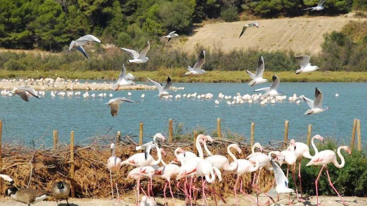 Photo of Others in Sigean