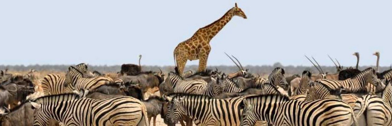 Photo of Others in Sigean