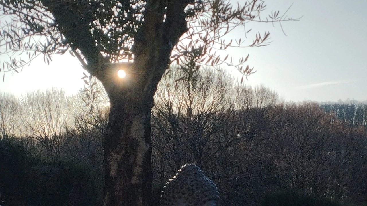 Photo of Others in Aubusson