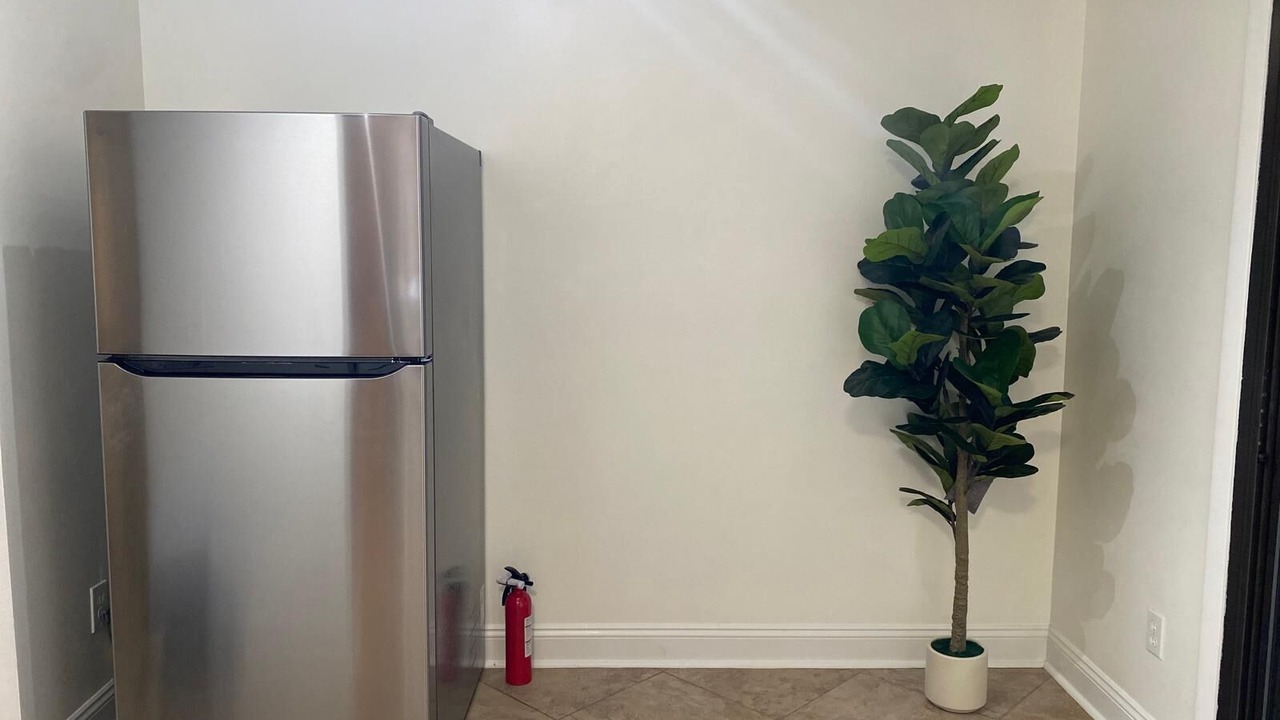 Photo of Others in Dolphin's Cove