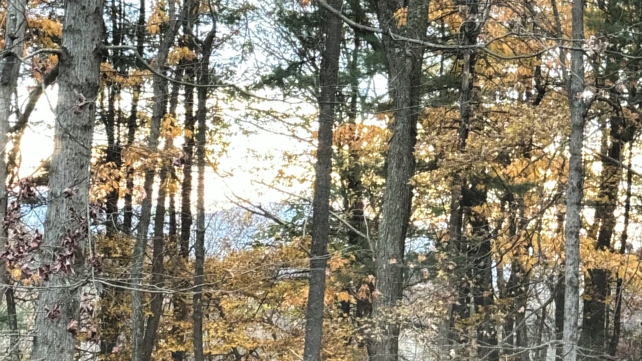 Photo of Others in High Falls