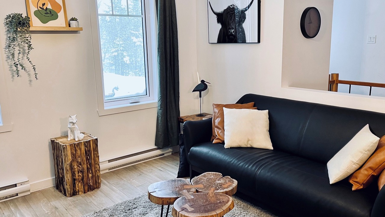 Photo of Livingroom in Entrelacs