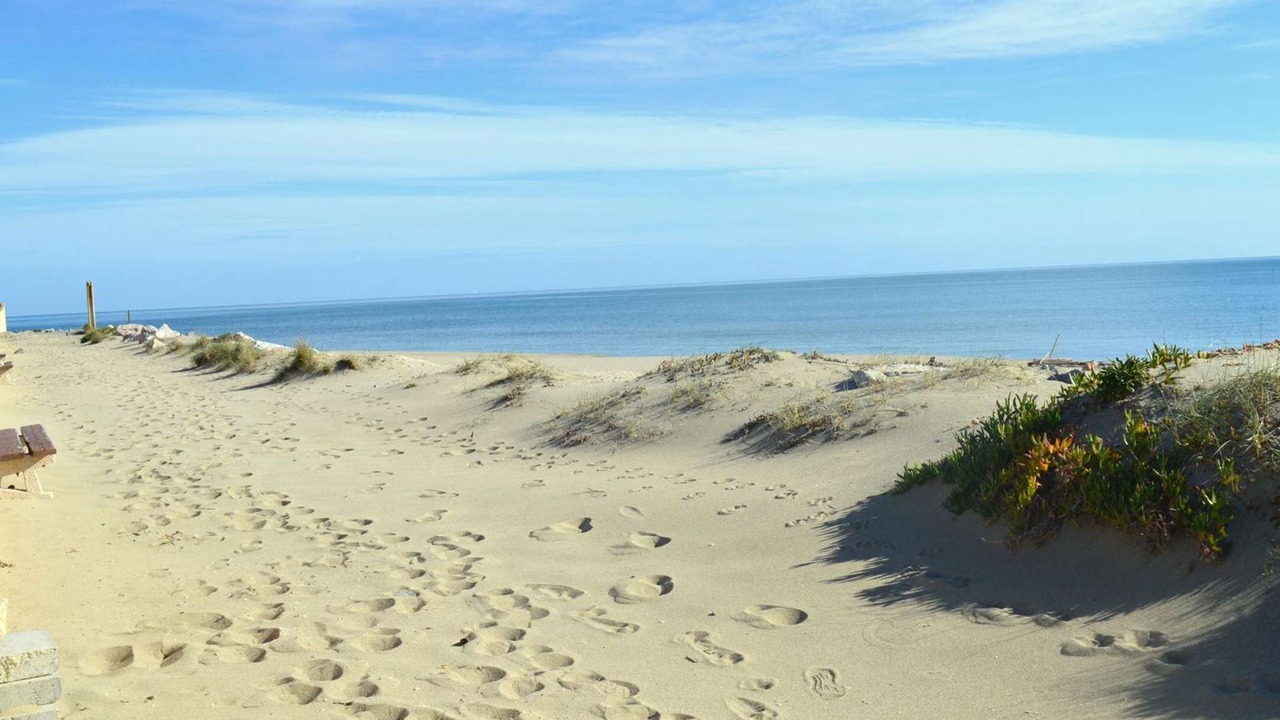 Photo of Others in Leucate