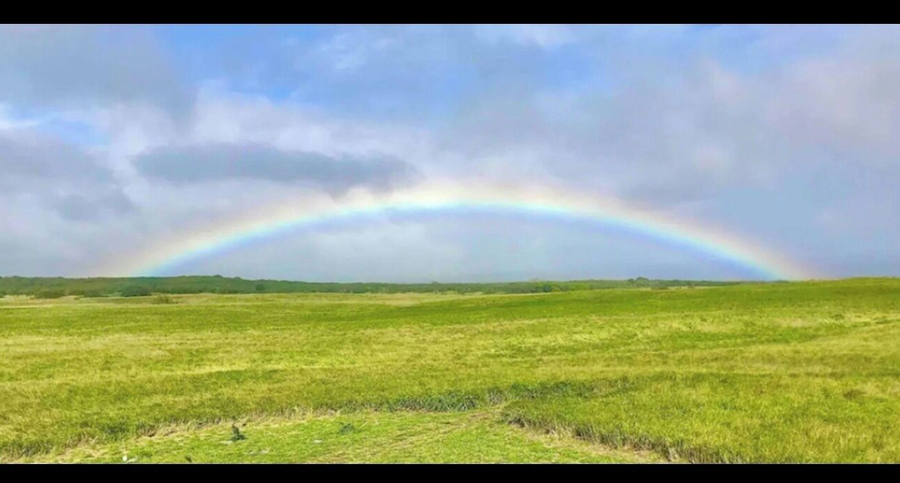 Photo of Others in Naalehu