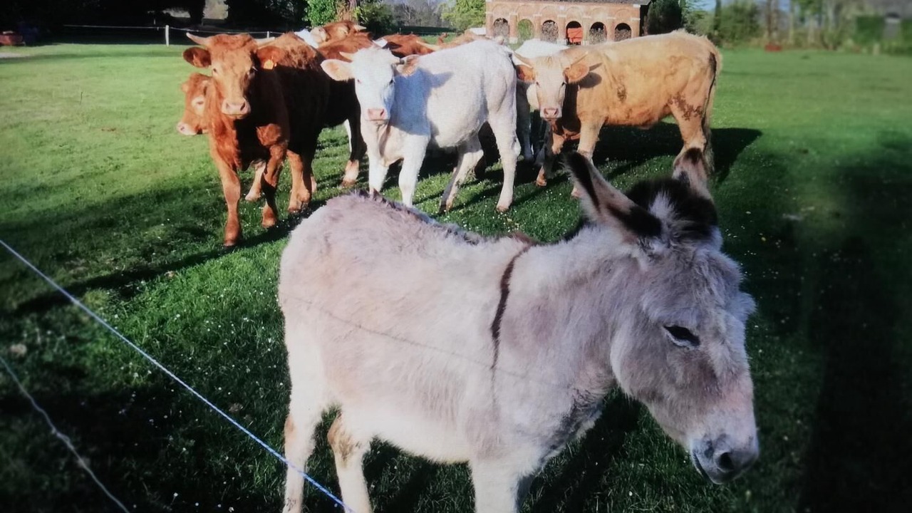 Photo of Others in Canouville