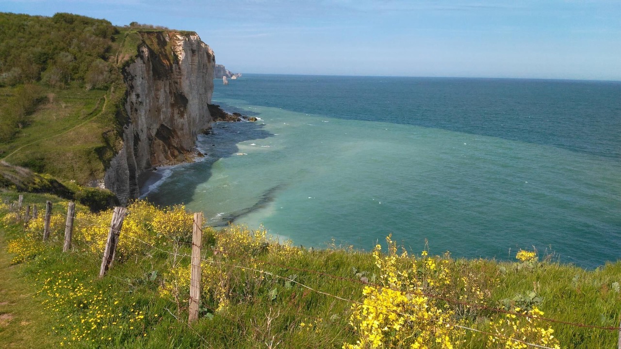 Photo of Others in Vattetot-sur-Mer