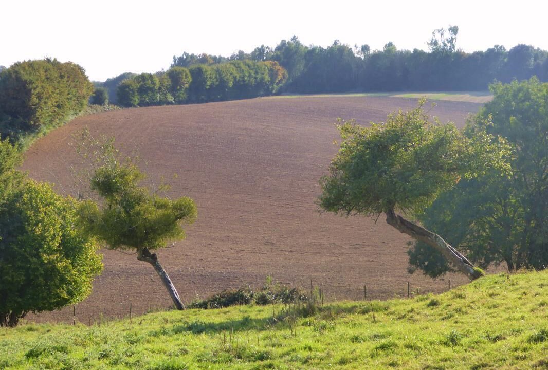 Photo of Others in Campneuseville