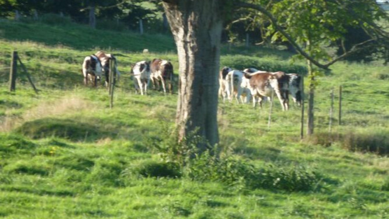 Photo of Others in Campneuseville