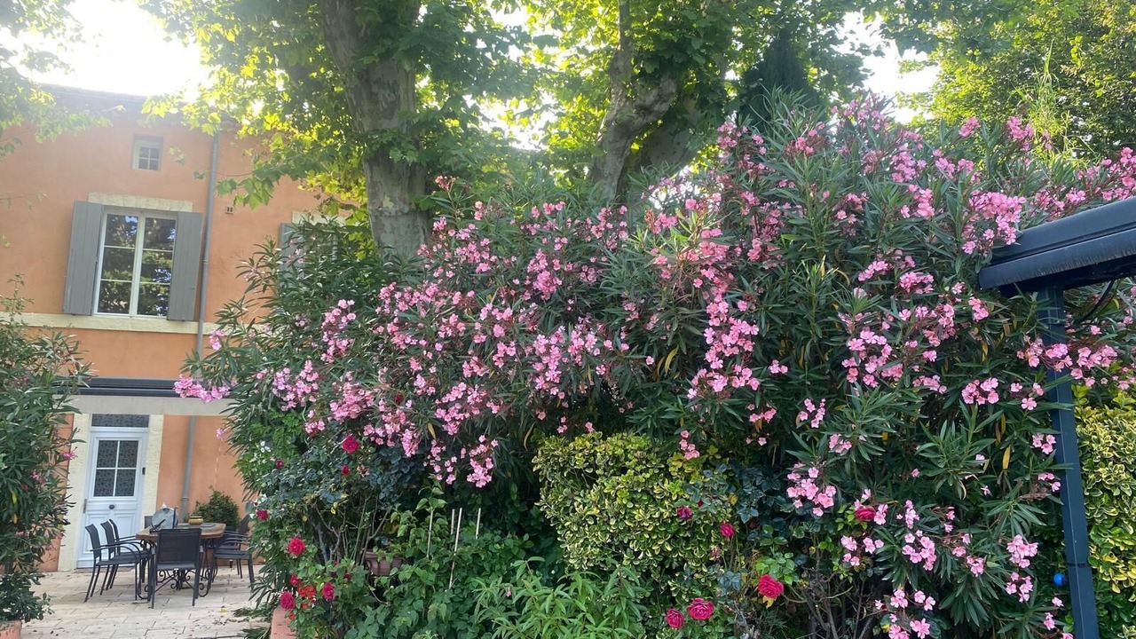 Photo of Outdoor in Avignon