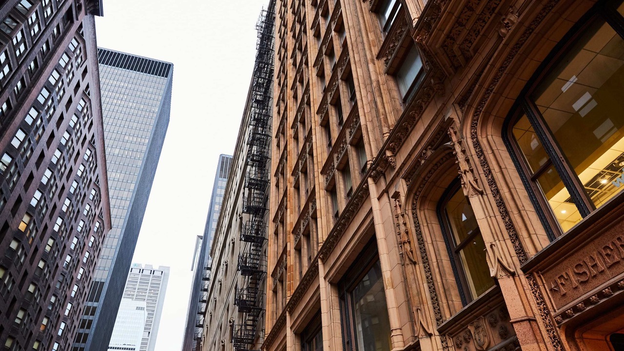 Photo of Others in The Loop