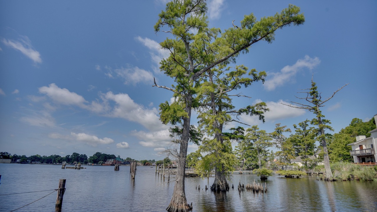Photo of Others in Elizabeth City