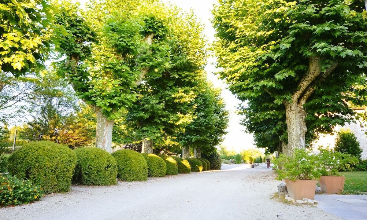 Photo of Outdoor in Les Avenieres