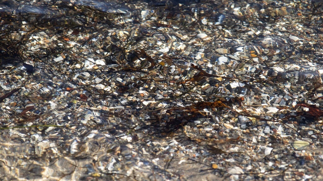 Photo of Others in Bjert