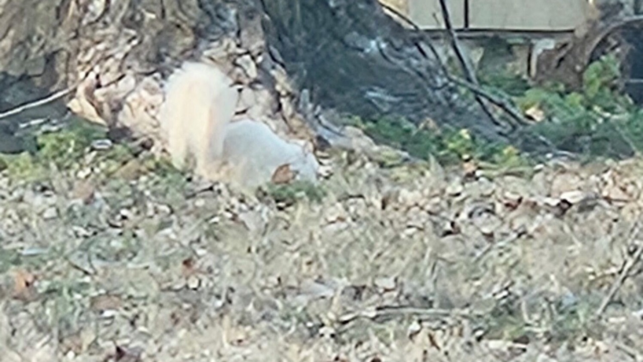 Photo of Others in Kenton