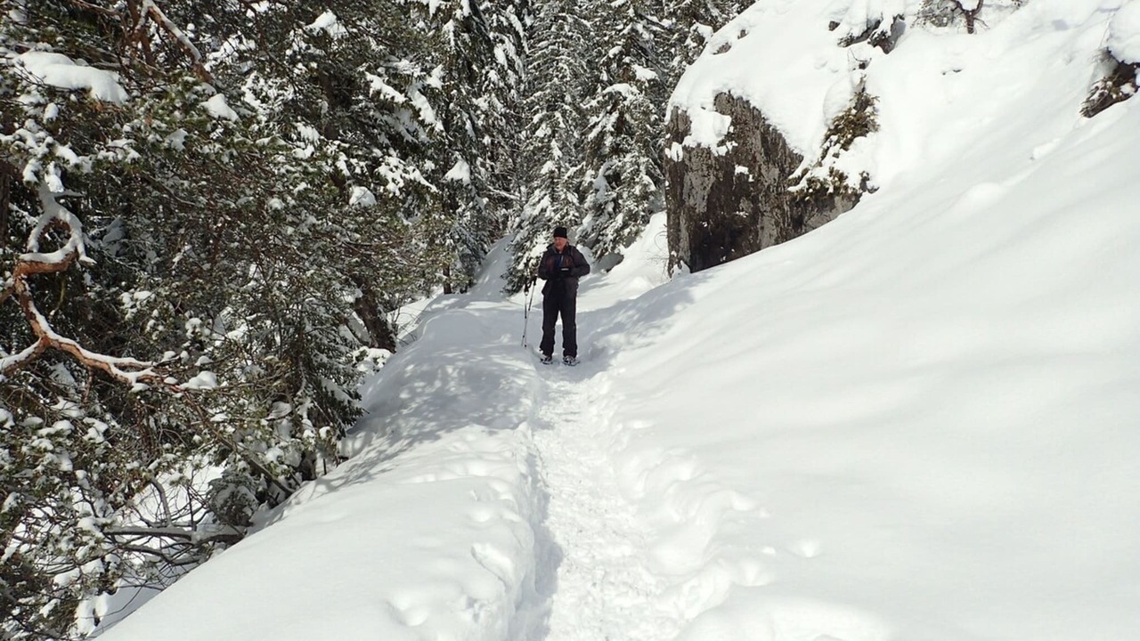 Photo of Others in Plateau-d'Assy