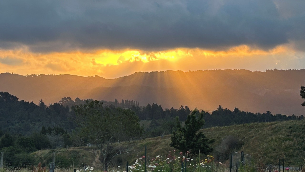 Photo of Others in Nukuhou