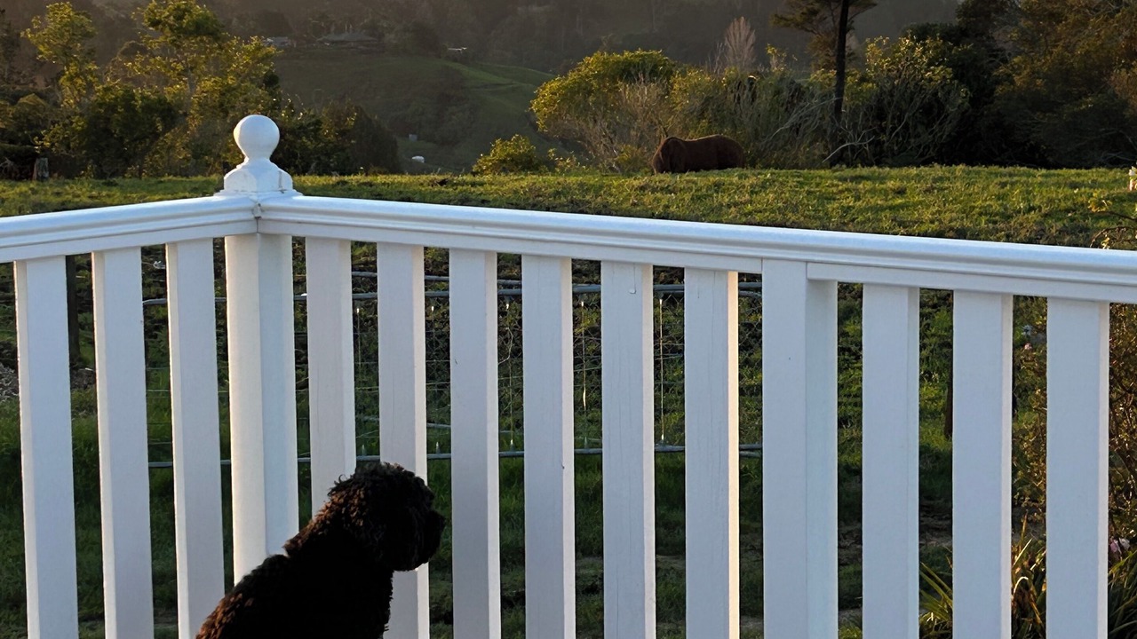 Photo of Outdoor in Nukuhou