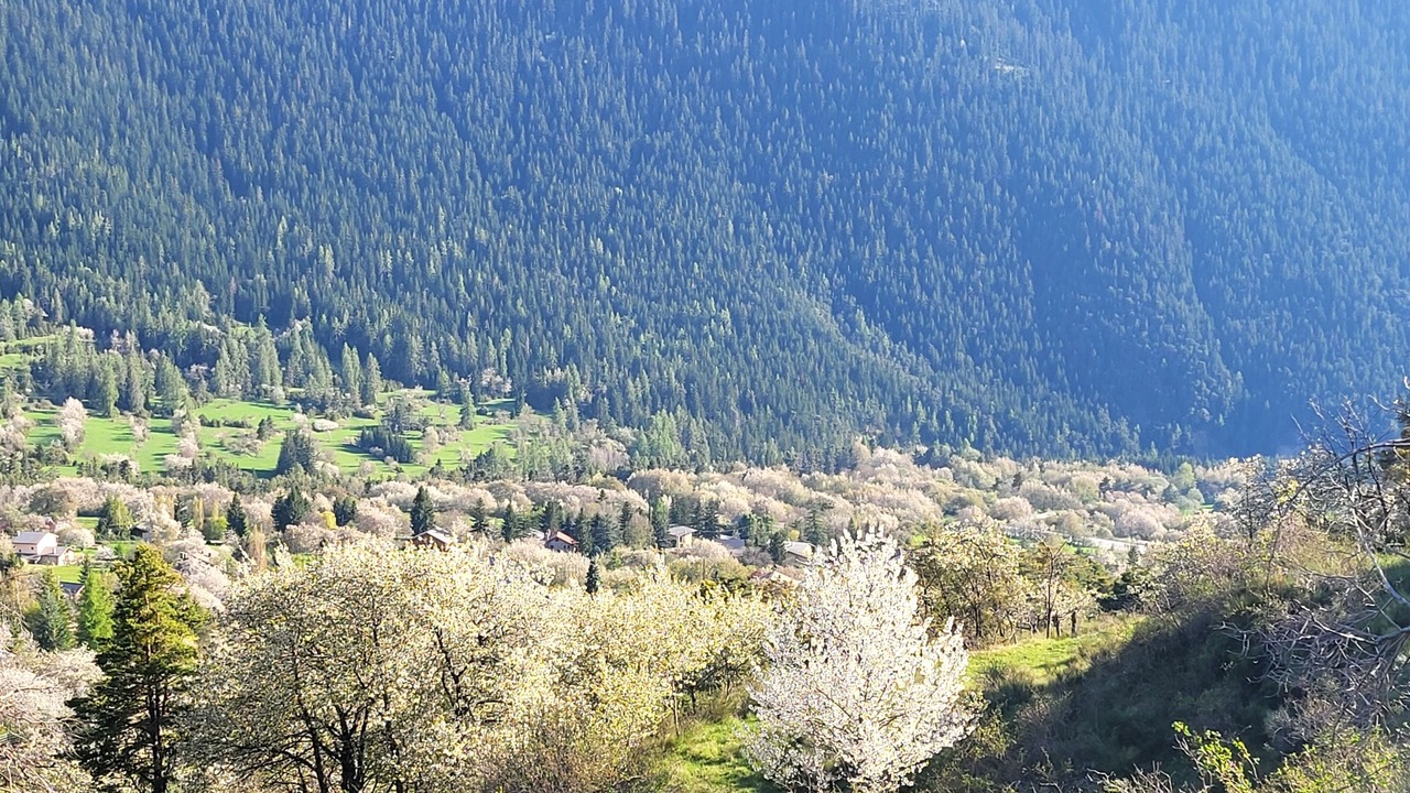 Photo of Others in Valdeblore