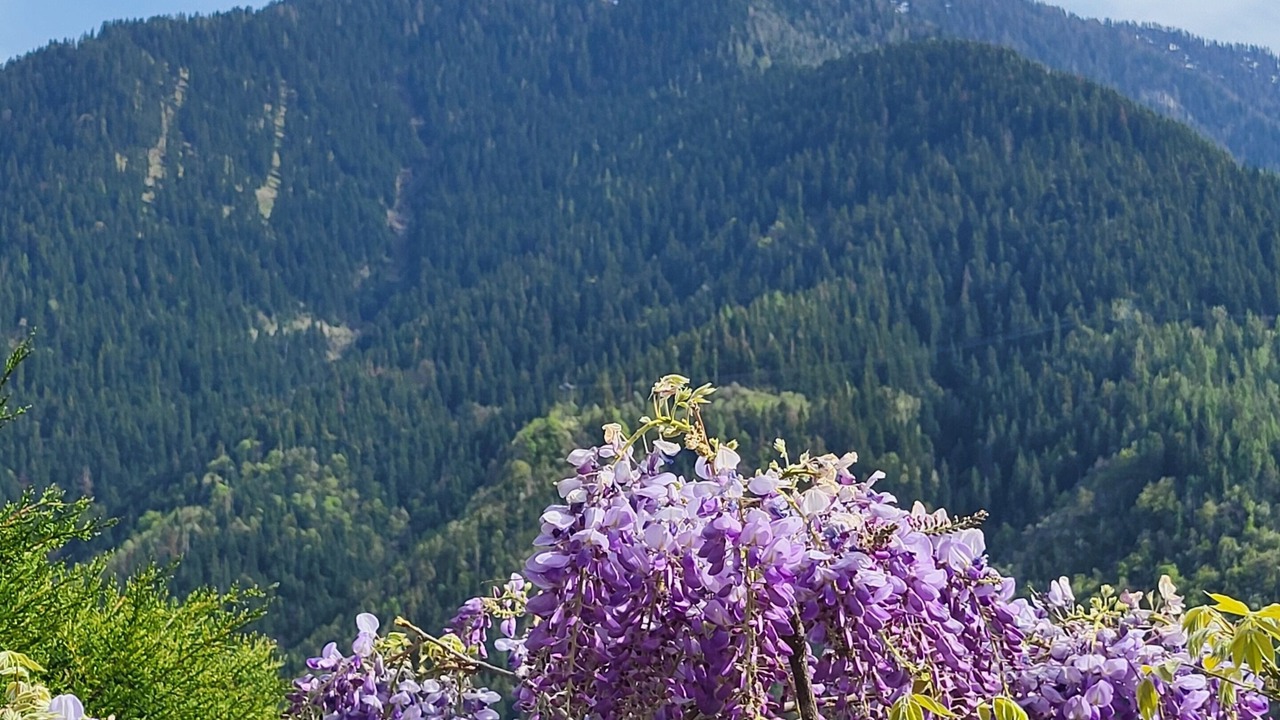 Photo of Others in Valdeblore