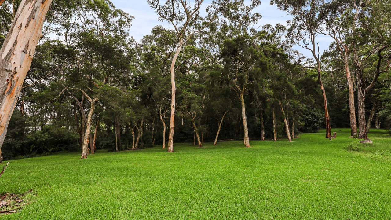 Photo of Others in Mount Hutton