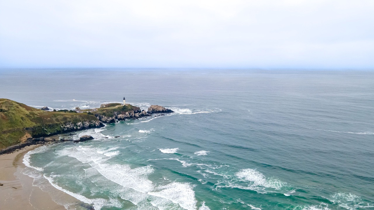 Photo of Others in Agate Beach