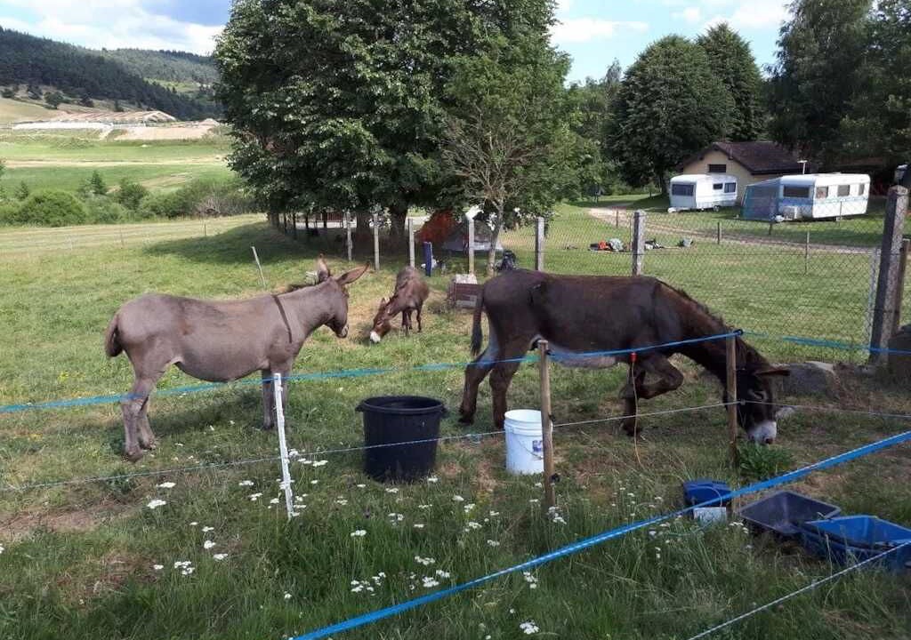 Photo of Others in Langogne
