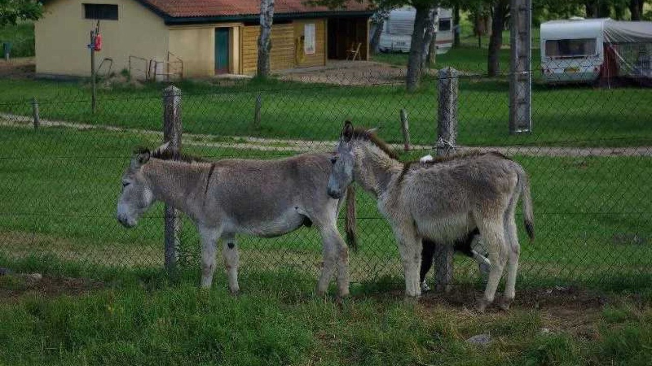 Photo of Others in Langogne