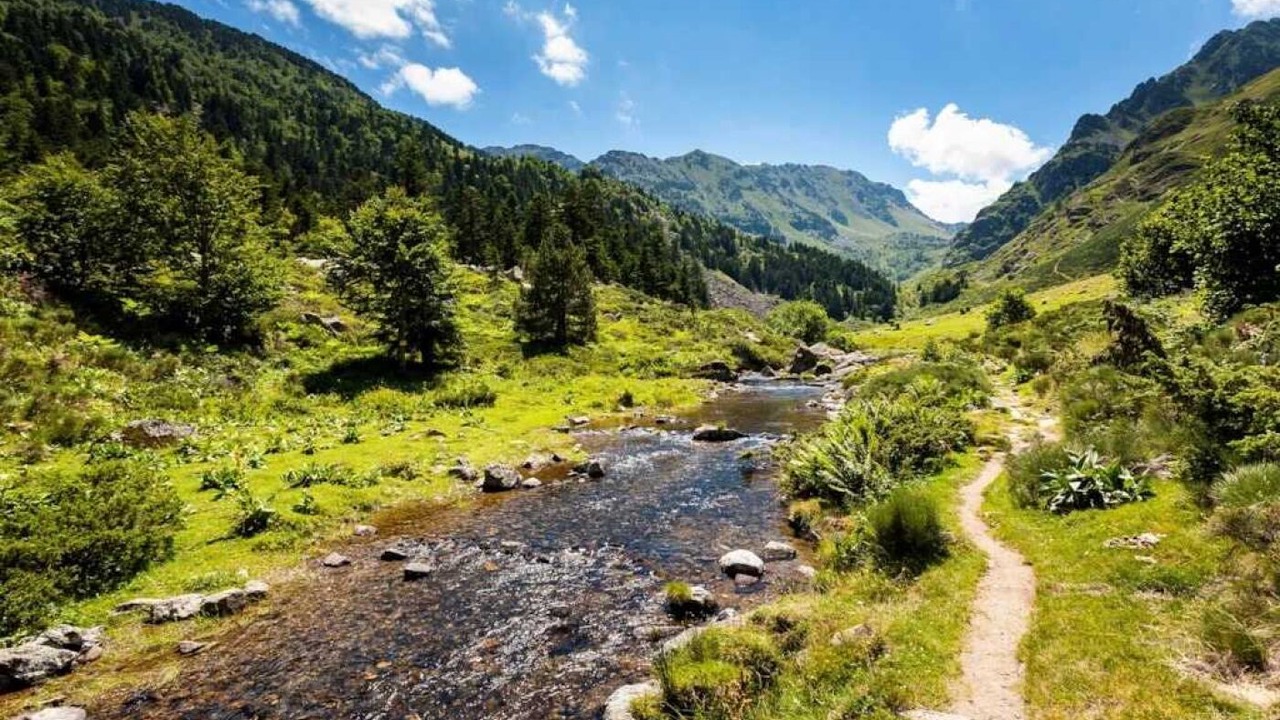 Photo of Others in Montels