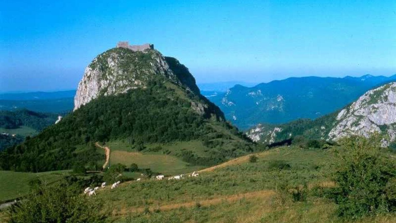 Photo of Others in Montels