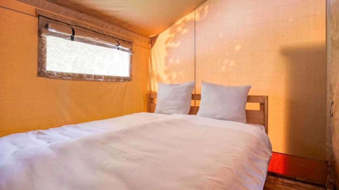 Photo of Bedroom in Signy-lAbbaye
