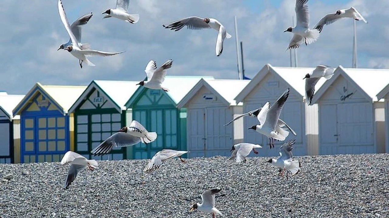 Photo of Others in Port-le-Grand