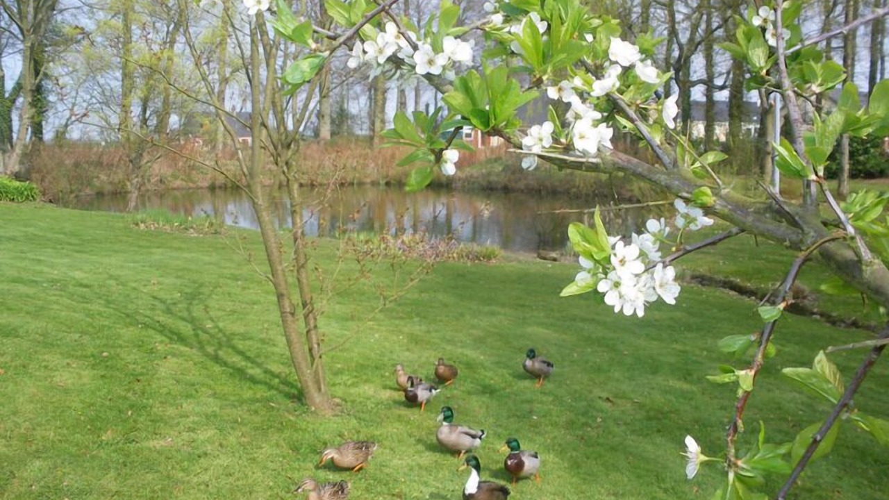 Photo of Outdoor in Annouville-Vilmesnil