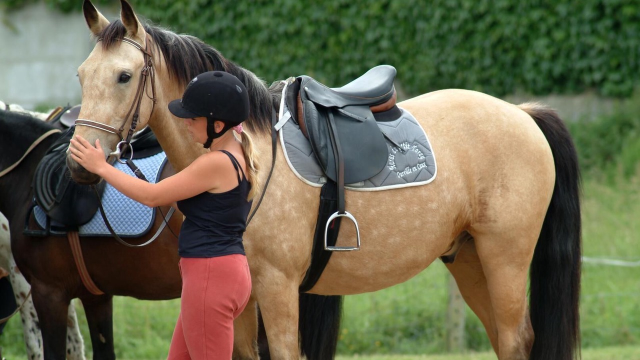 Photo of Others in Croisy-sur-Andelle