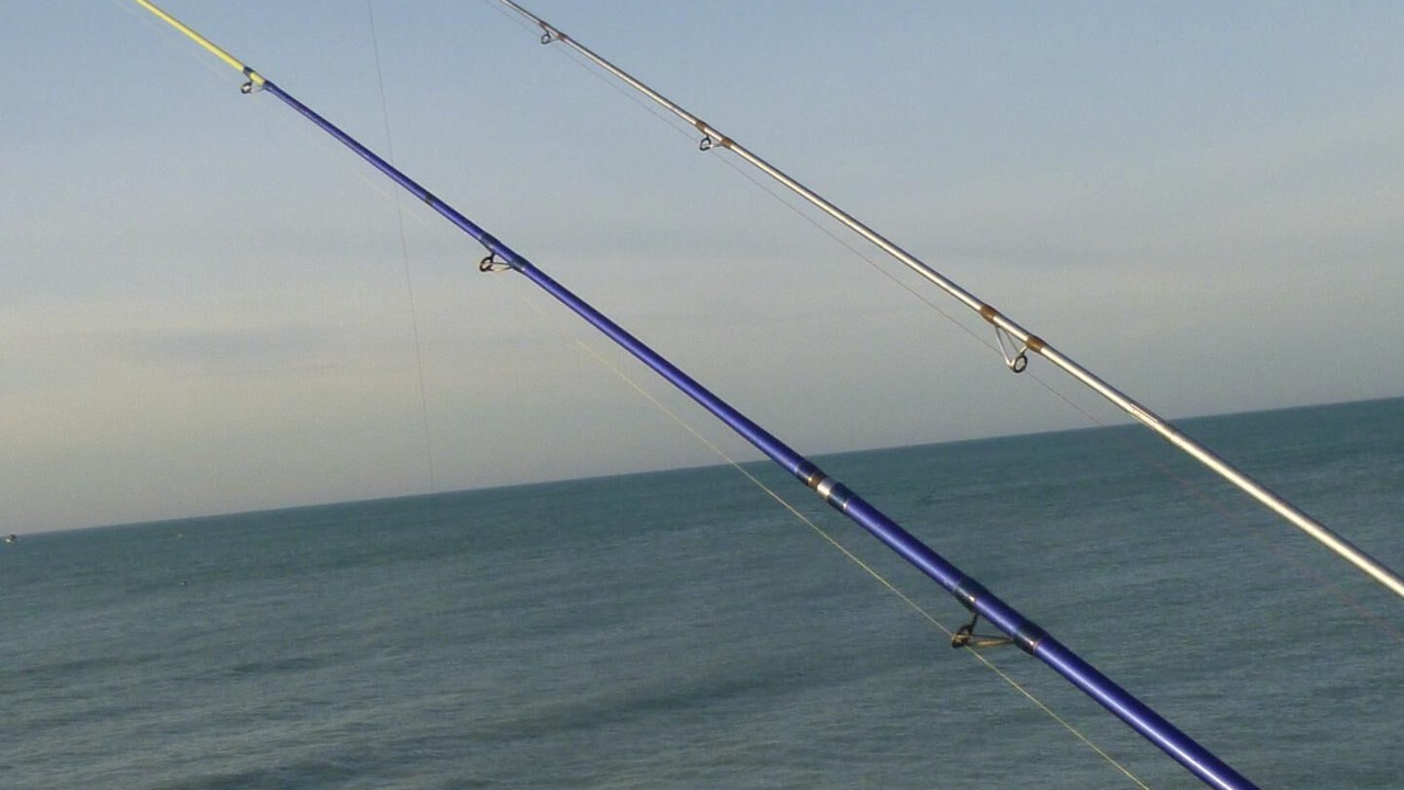 Photo of Others in Dieppe