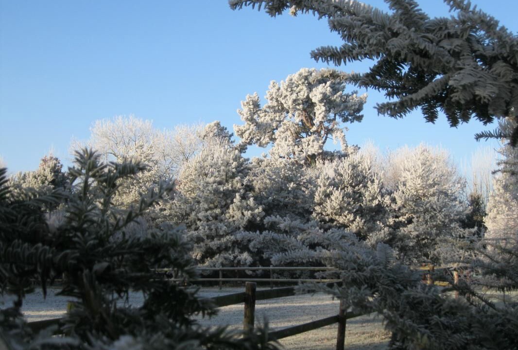 Photo of Outdoor in Octeville-sur-Mer