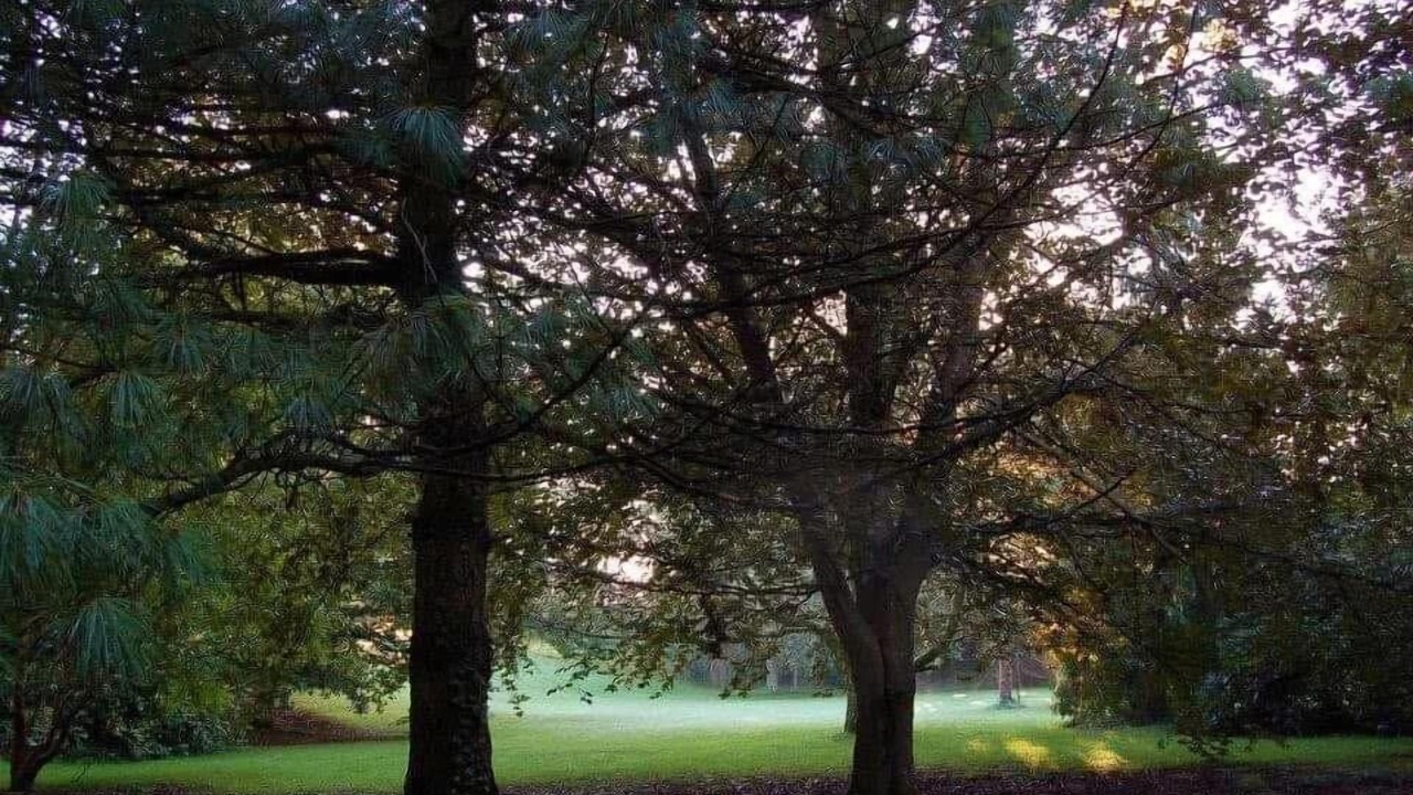 Photo of Others in Les Grandes-Ventes